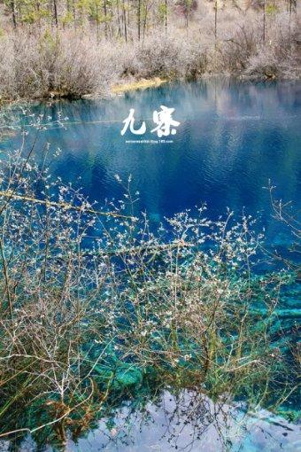 诡秘游戏
