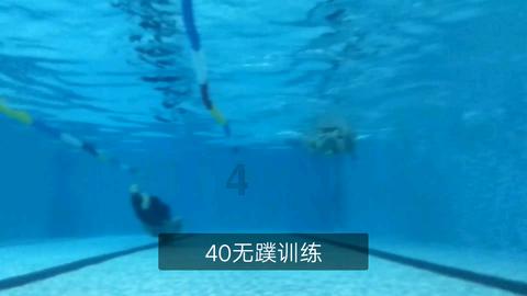 波兰学者:“一带一路”倡议得到了市场的验证