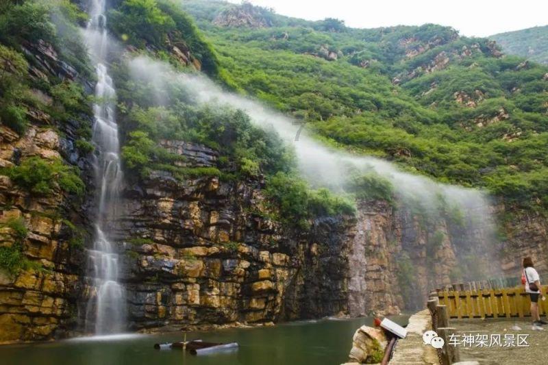 选择到烹饪学校，学厨师的最佳年龄是多少？游戏画面